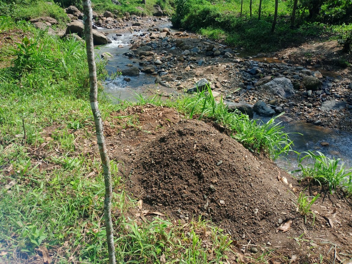 Manure and mulch applied on a cultivated field