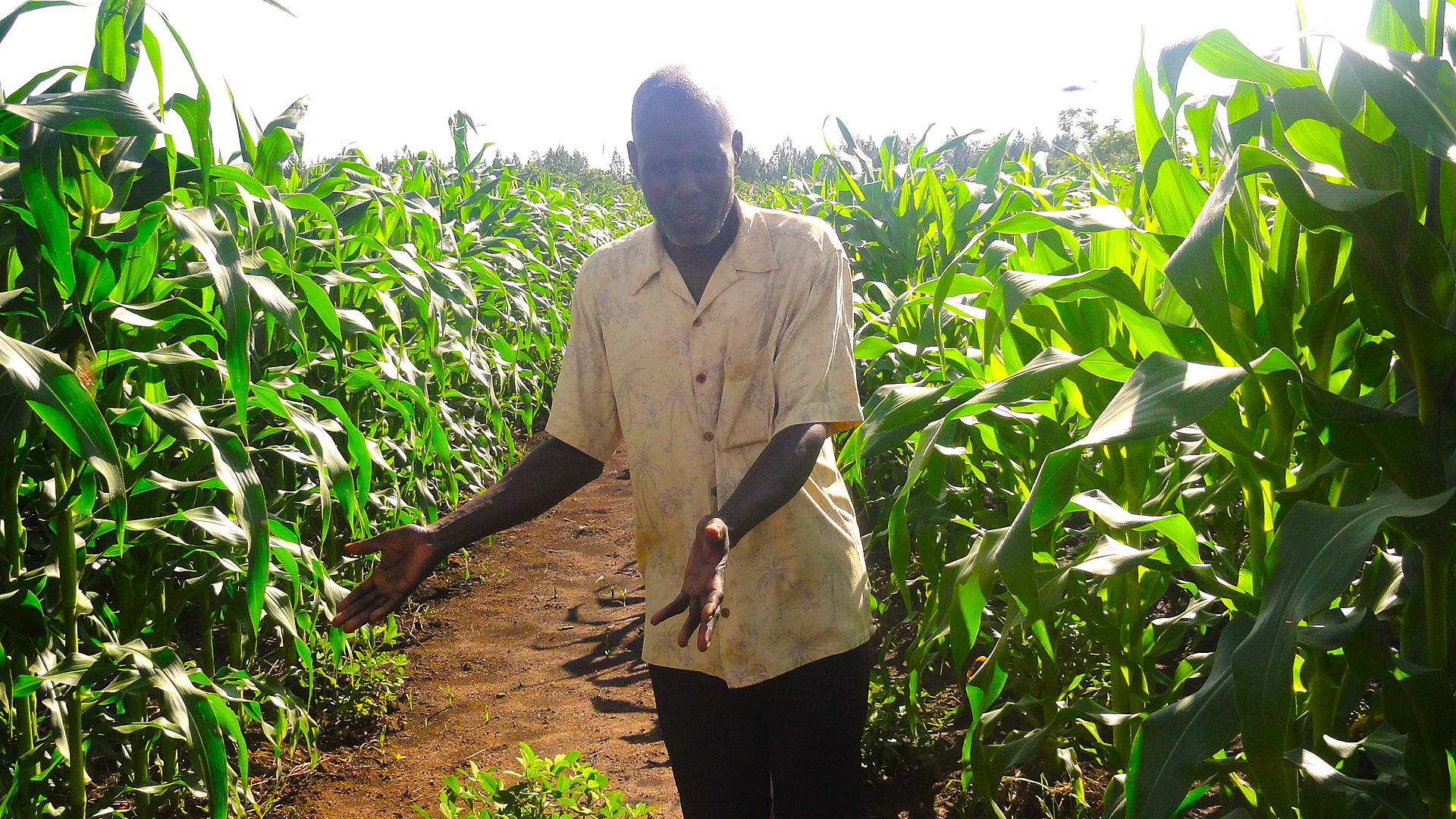 Community members at a project field site