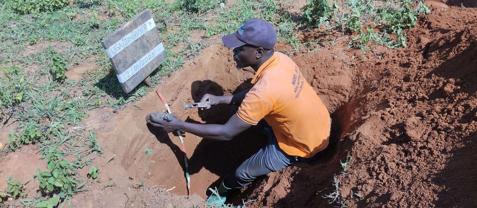 Soil sampling in a pit