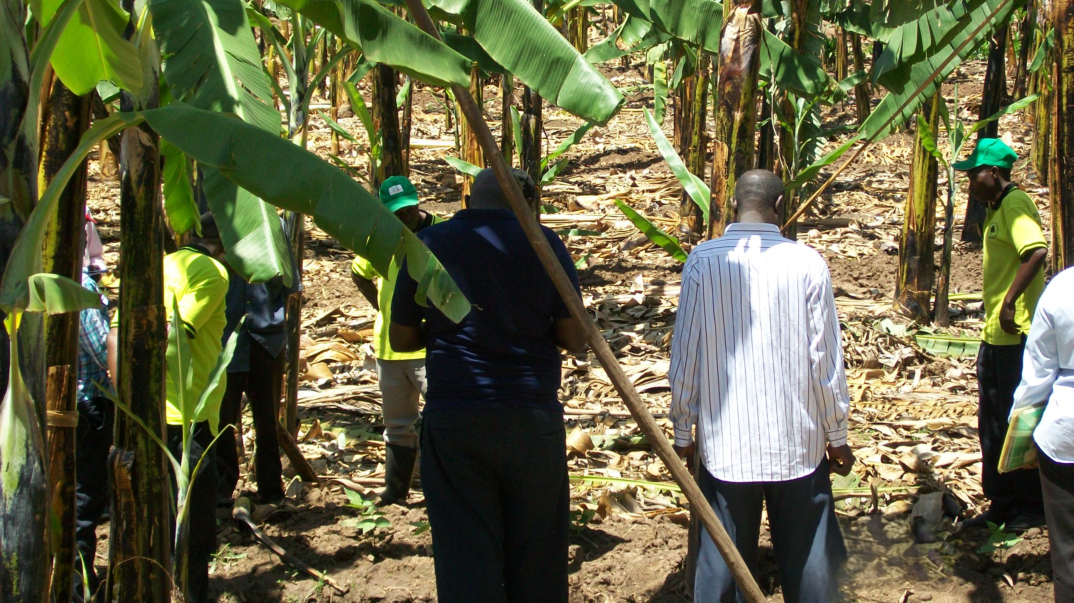 Soil and vegetation on a monitored site